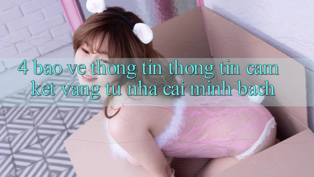 4. Bảo vệ thông tin Thông Tin - Cam Kết Vàng Từ Nhà Cái Minh bạch