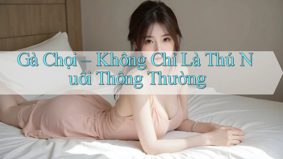 Gà Chọi – Không Chỉ Là Thú Nuôi Thông Thường Gà Chọi – Không Chỉ Là Thú Nuôi Thông Thường