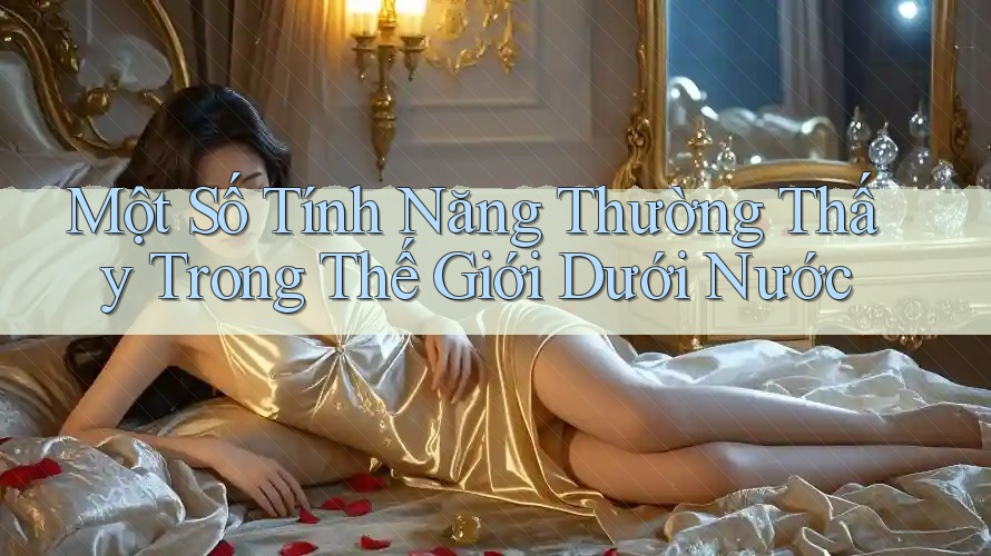 Một Số Tính Năng Thường Thấy Trong Thế Giới Dưới Nước Một Số Tính Năng Thường Thấy Trong Thế Giới Dưới Nước