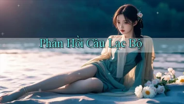 Phản hồi Câu lạc bộ